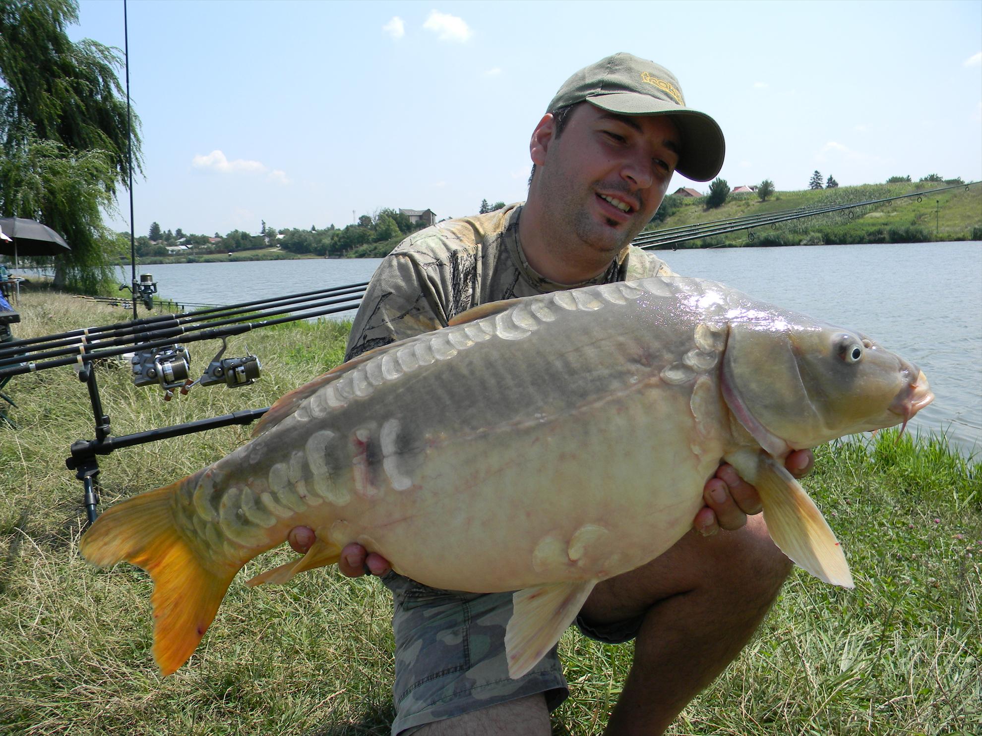 Capturi - dscn0651.JPG